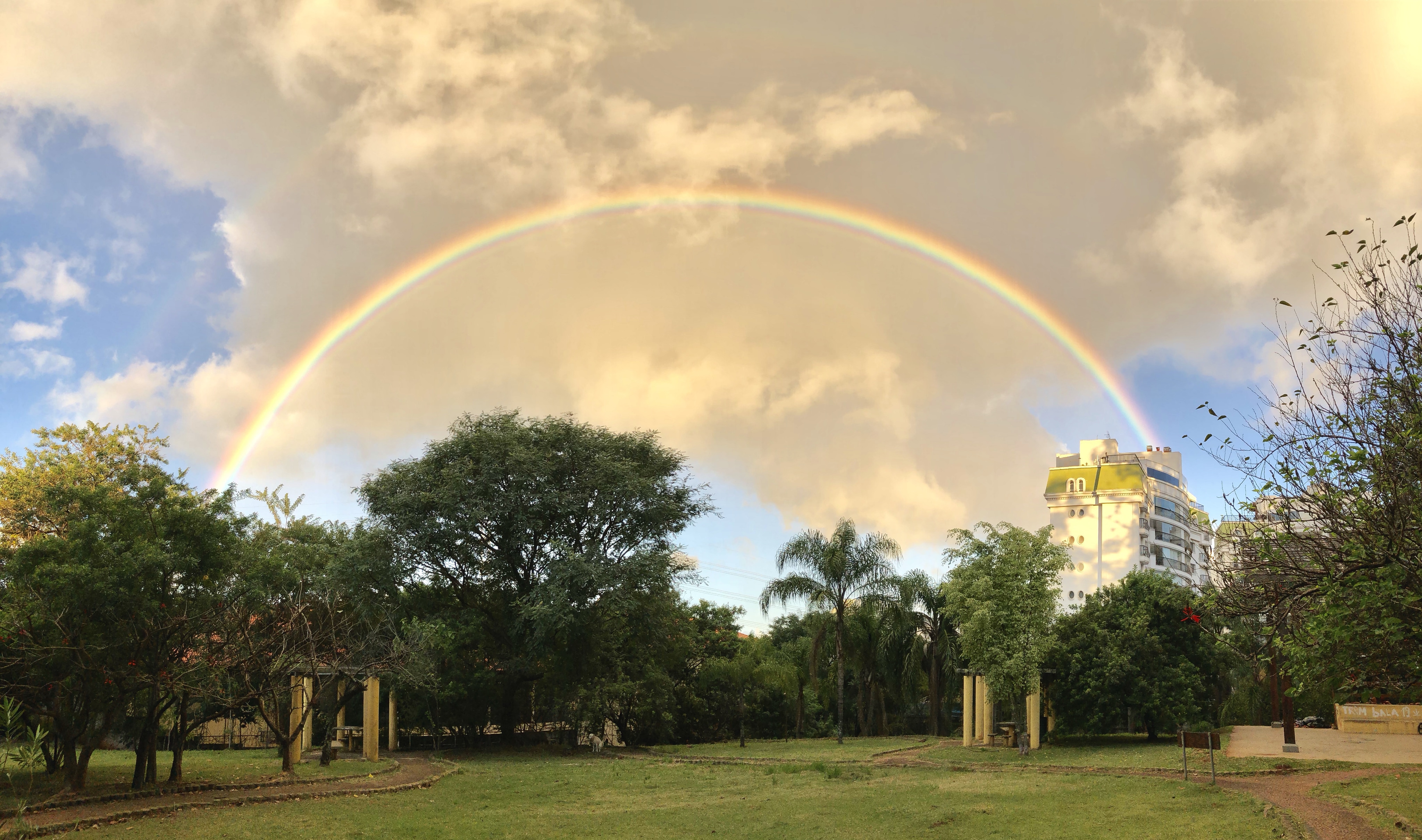 IMG_20190724_074150_404